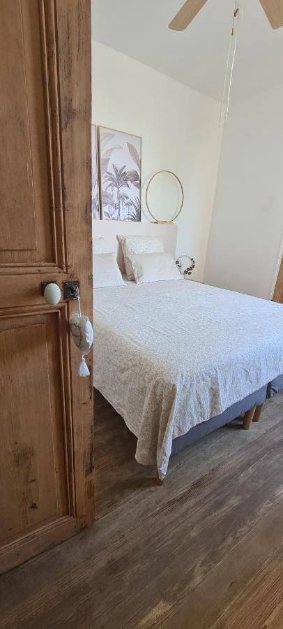 Maison De Ville Au Bord Du Lez, 170M2 Cosy. ボレーヌ エクステリア 写真